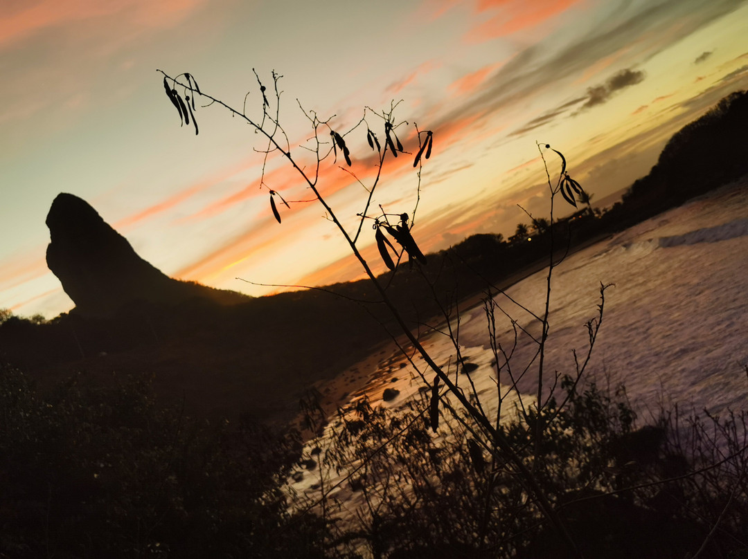 Meio Beach-费尔南多-迪诺罗尼亚群岛必去景点