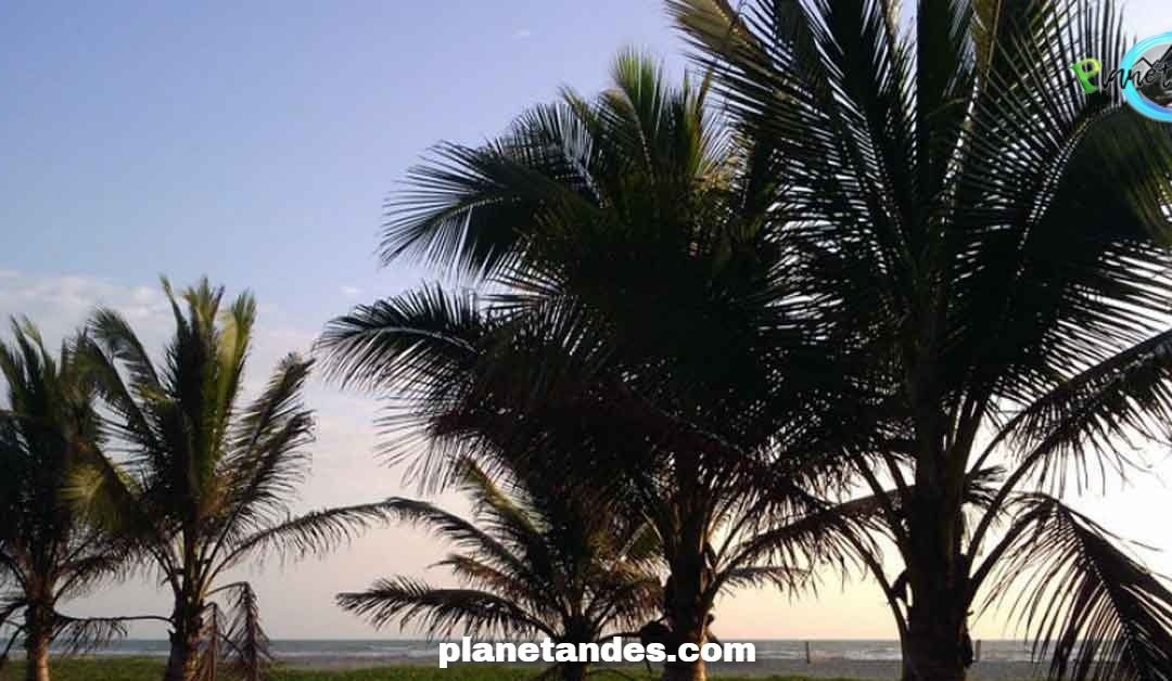 Canoa Beach景点图片