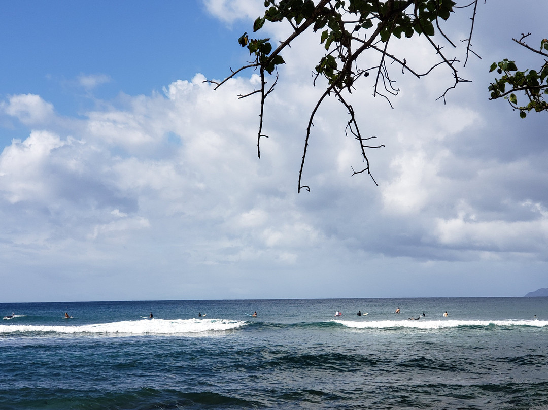 Surf 787-吕康必去景点