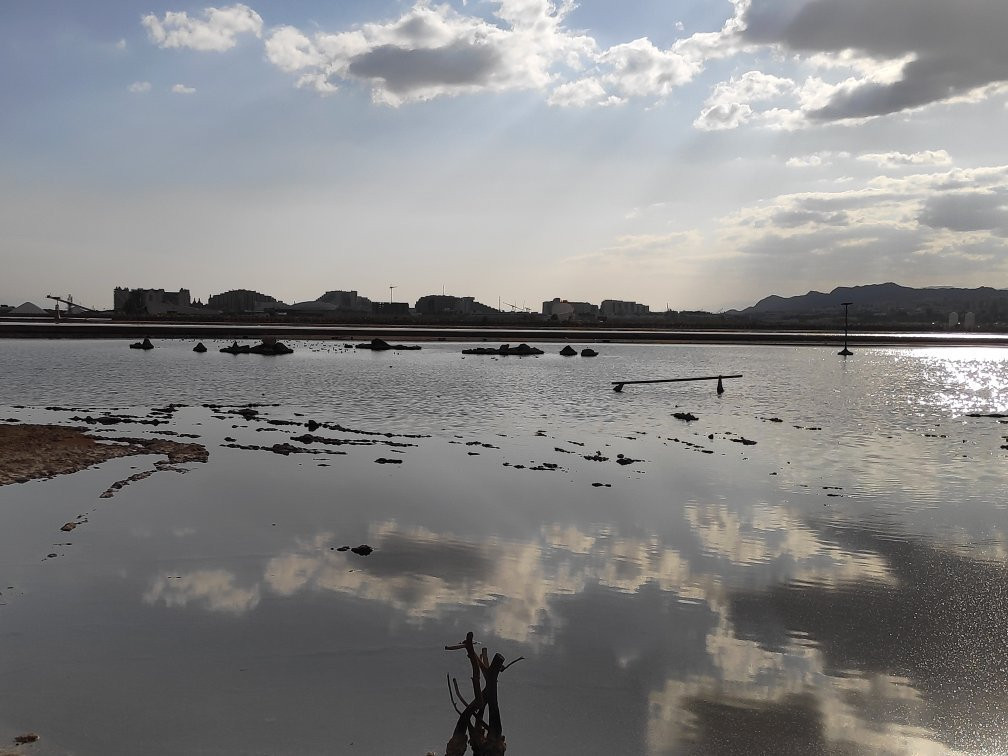 The International Birding & Research Centre-埃拉特必去景点