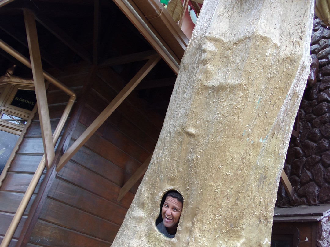 Loja Temática Florybal Chocolates-卡内拉必去景点