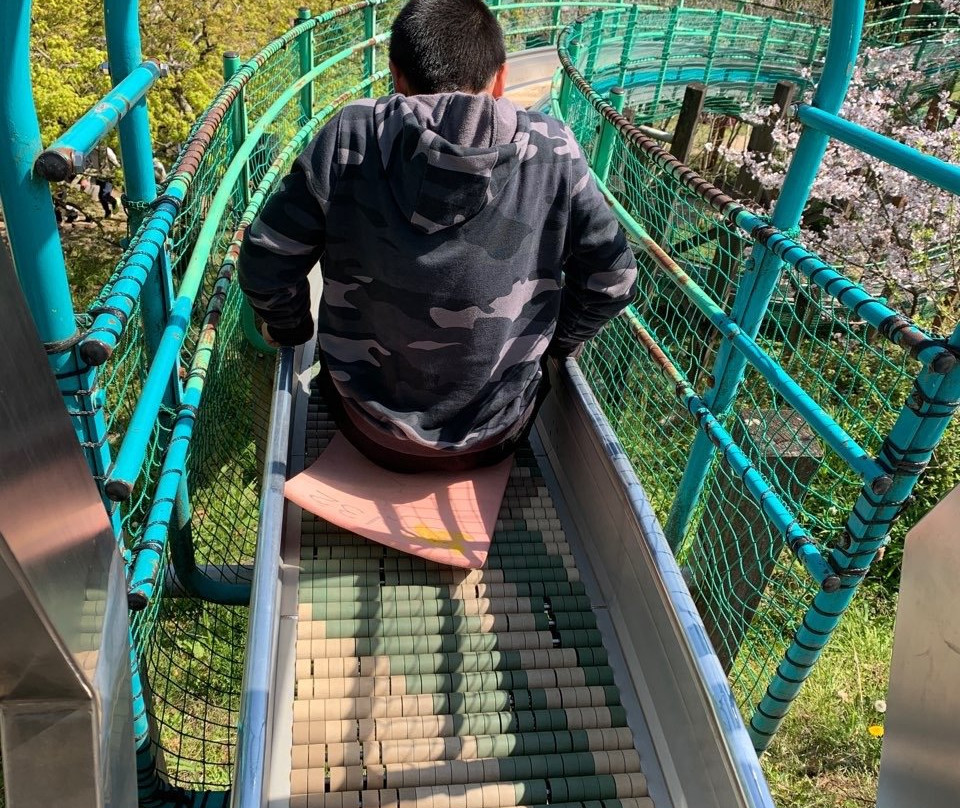 Ipponmatsu Park-山鹿市必去景点