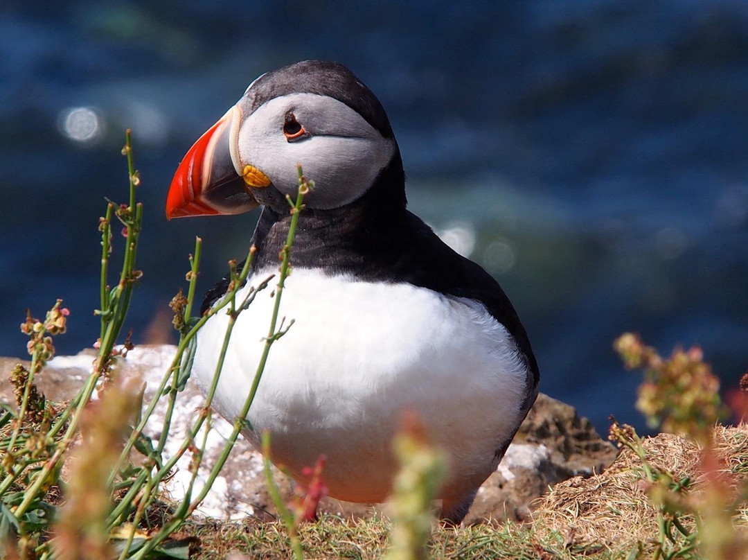 Walk Wild Scotland景点图片