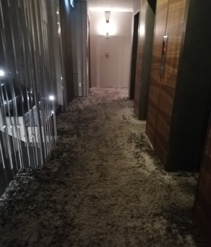 Warwick Stone 55 Hotel Beirut主图