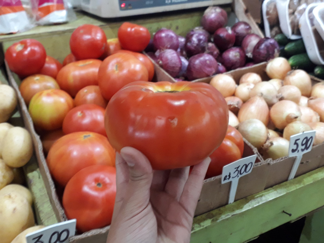 Hortomercado-彼得罗波利斯必去景点