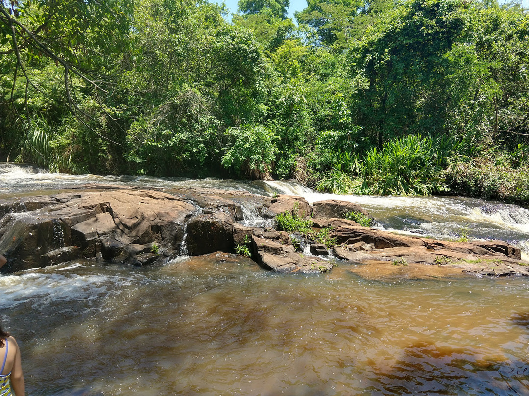 Cachoeira Mario Ribeiro景点图片