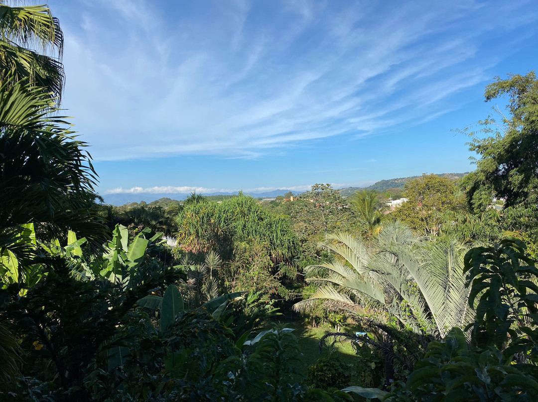 Pura Vida Hotel主图