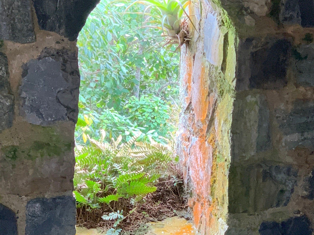 La Torre de Piedra景点图片