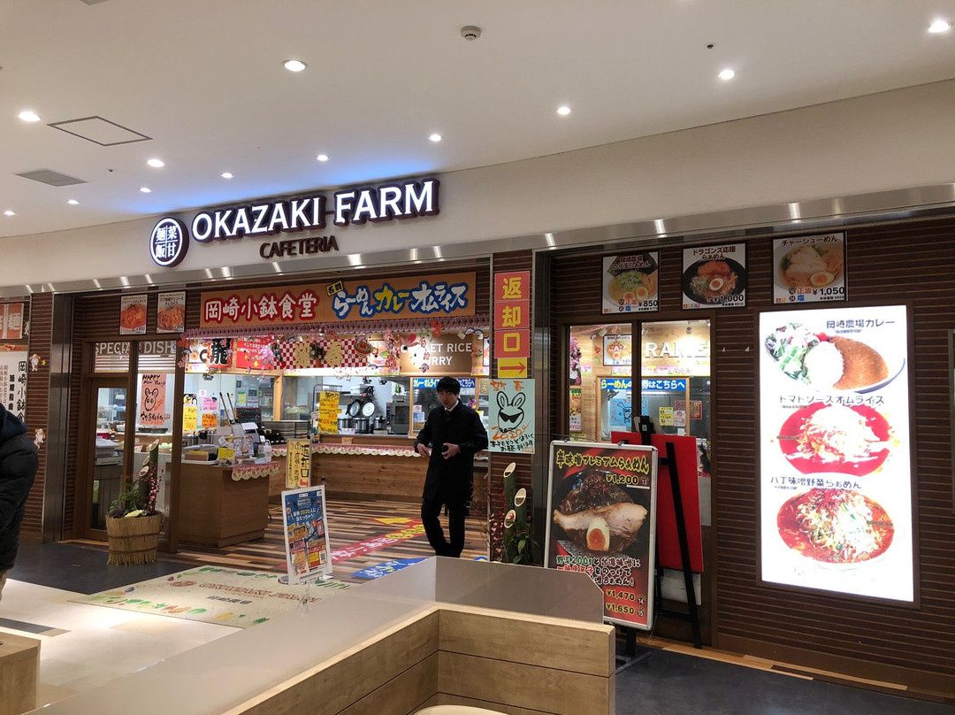 Okazaki Service Area-冈崎市必去景点
