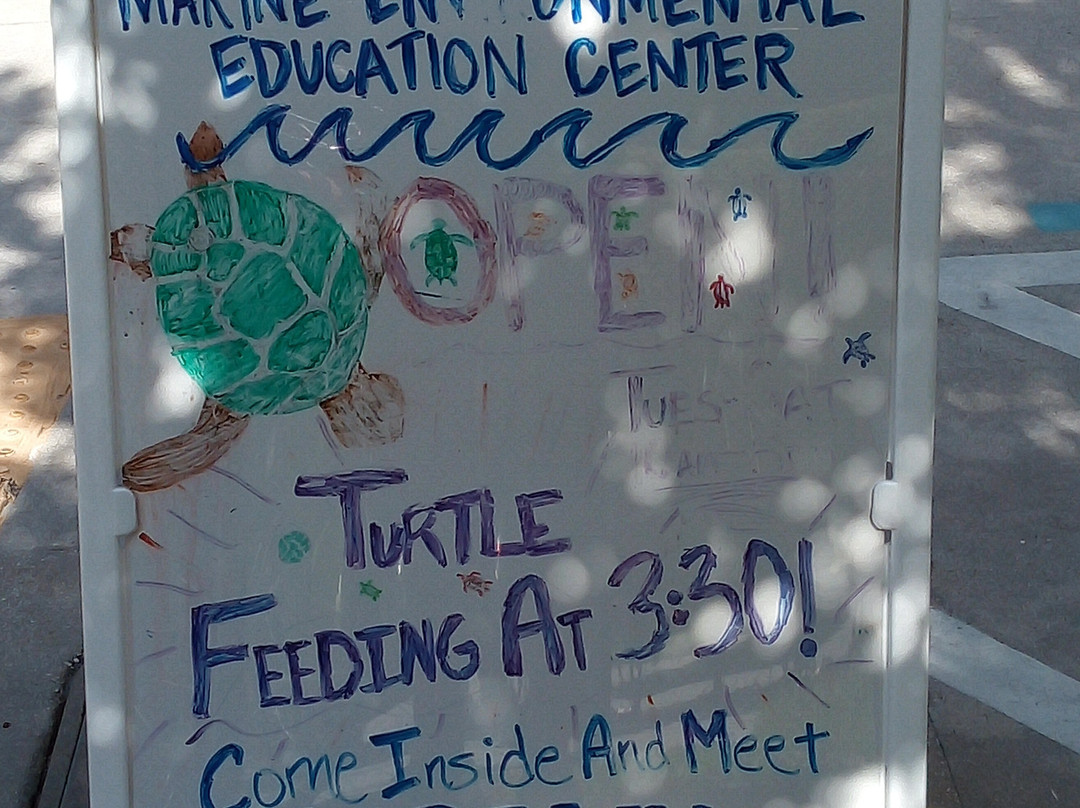 Marine Environmental Education Center-好莱坞必去景点