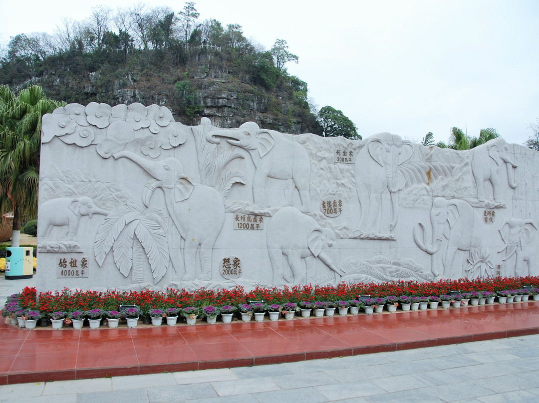 Zobisan Ancient Ruin-养老町必去景点