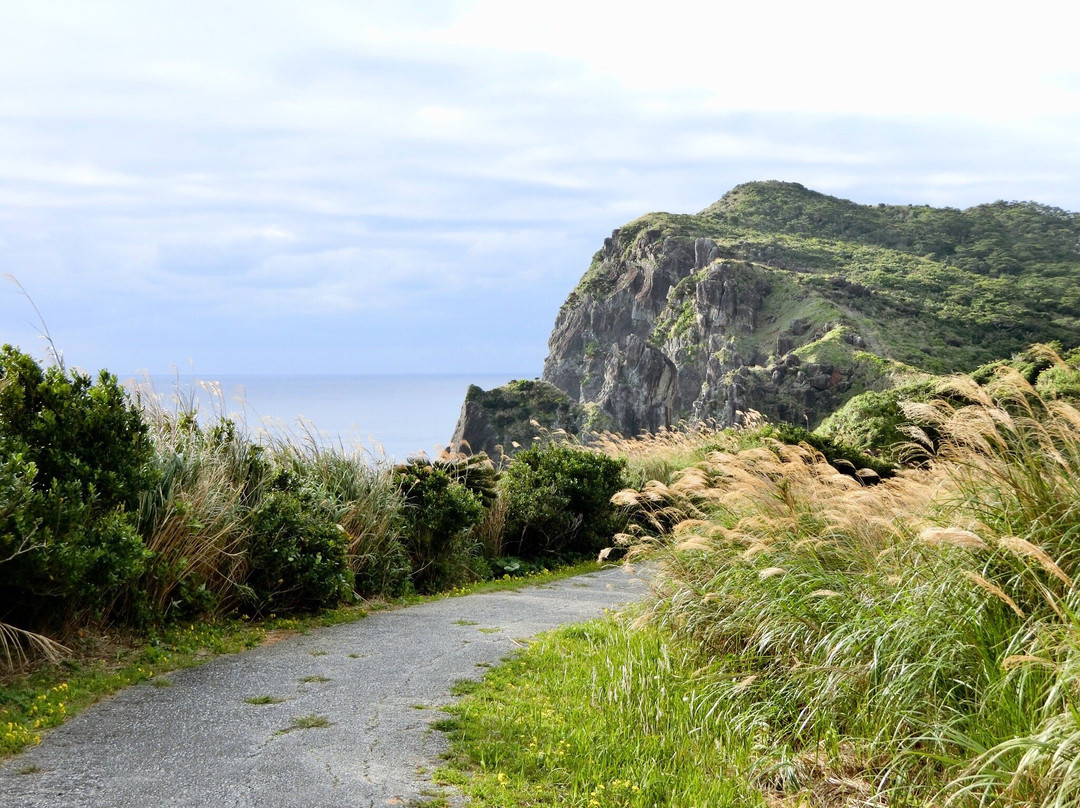 Torinokuchi Rock景点图片