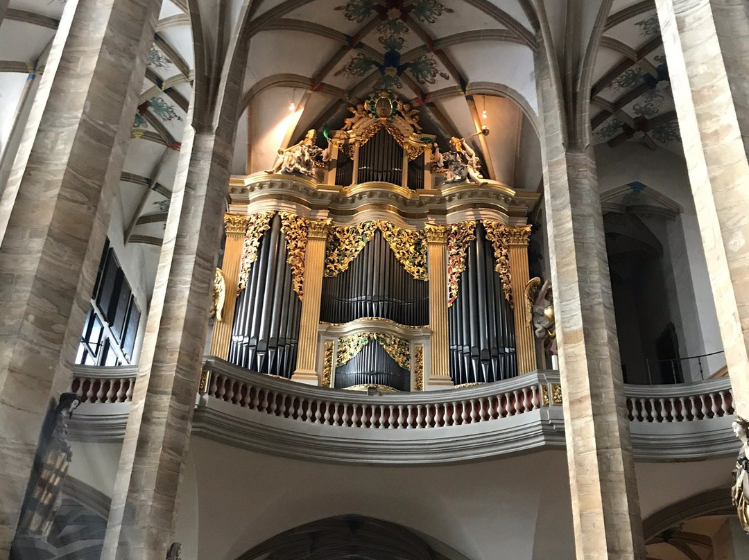 Dom St. Marien-弗赖贝格必去景点