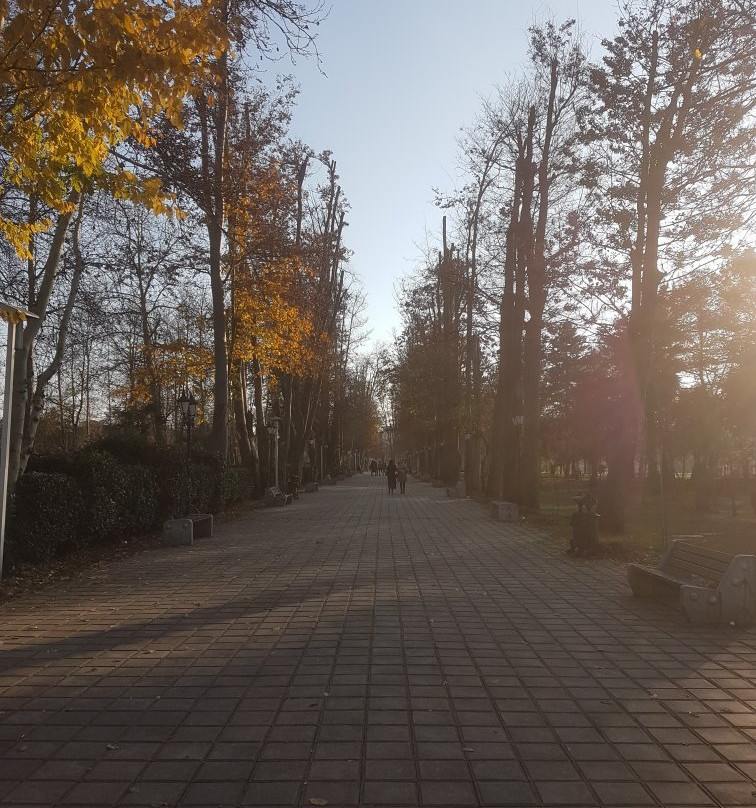 Mohtasham Garden景点图片