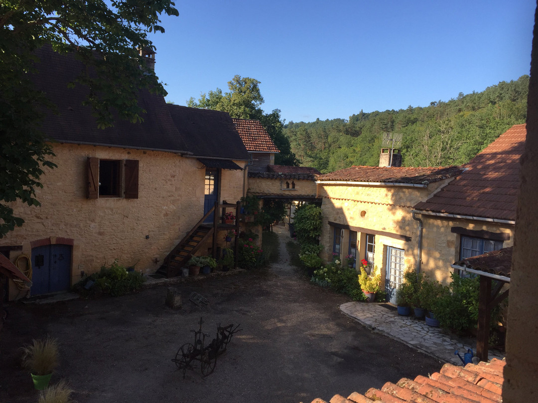 Hotel Auberge de Castel Merle主图