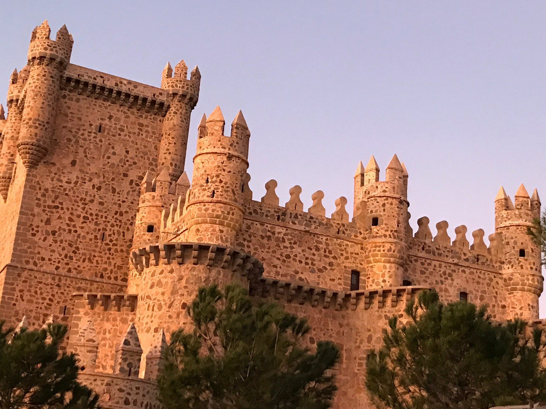 Castillo de Guadamur景点图片