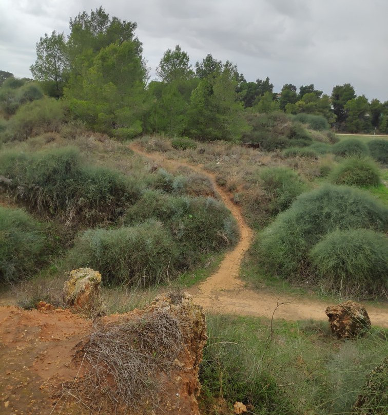 Bilu Center Outlet-Kiryat Ekron必去景点