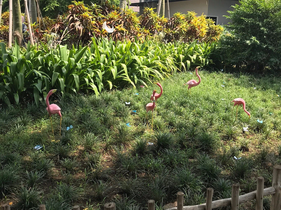 Urban Farming Center景点图片