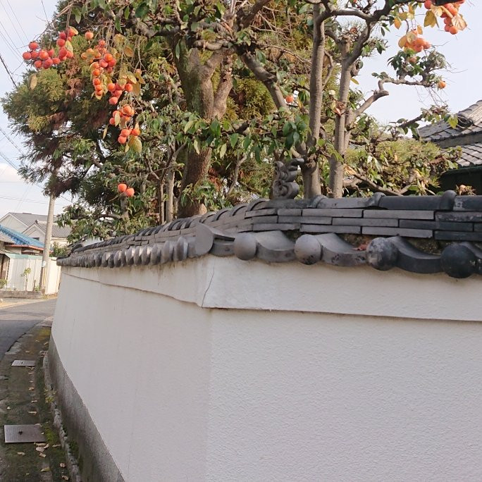 Kishiwada City Streets-岸和田市必去景点