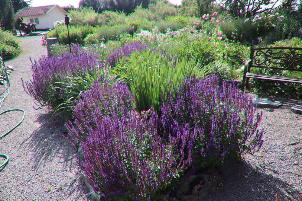 Gatiss Gardens-卡利斯佩尔必去景点