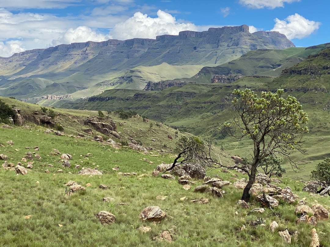 Major Adventures The Sani Pass Specialists-安德堡必去景点