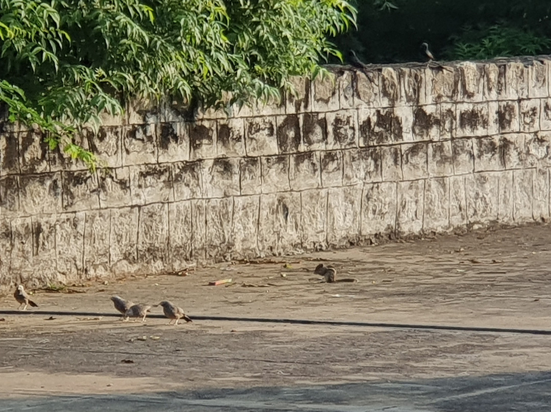 Idumban Temple-Palani必去景点