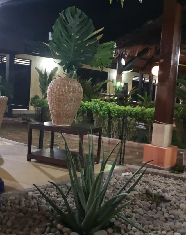 Hotel Amazon Bed & Breakfast主图