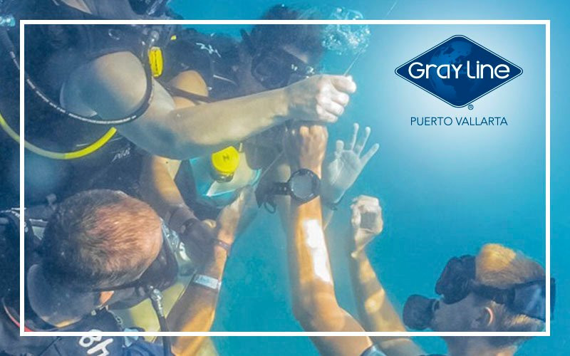 Gray Line Puerto Vallarta-瓦拉塔港必去景点