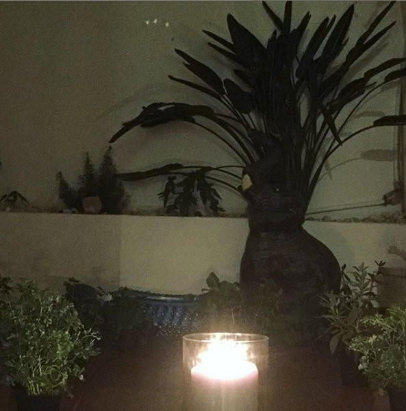 Centro de Yoga Mar 8 Garita景点图片