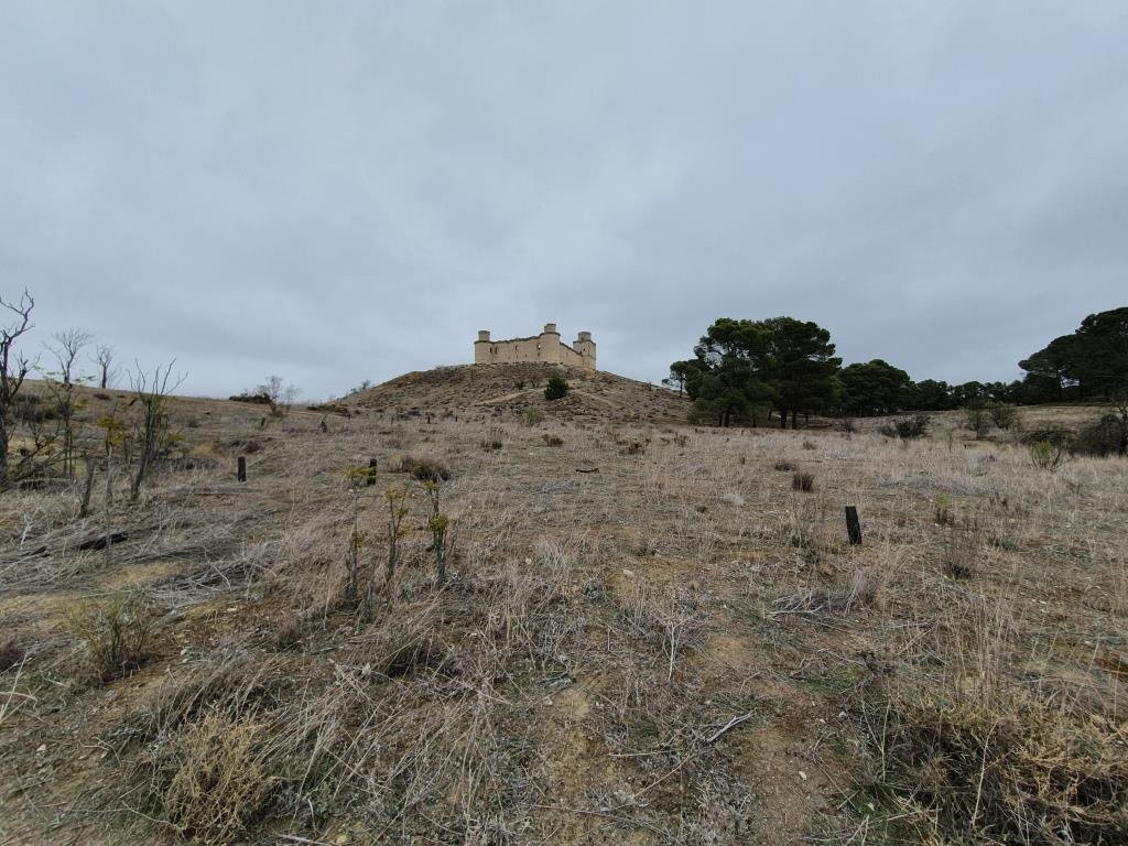 Castillo de Barcience景点图片
