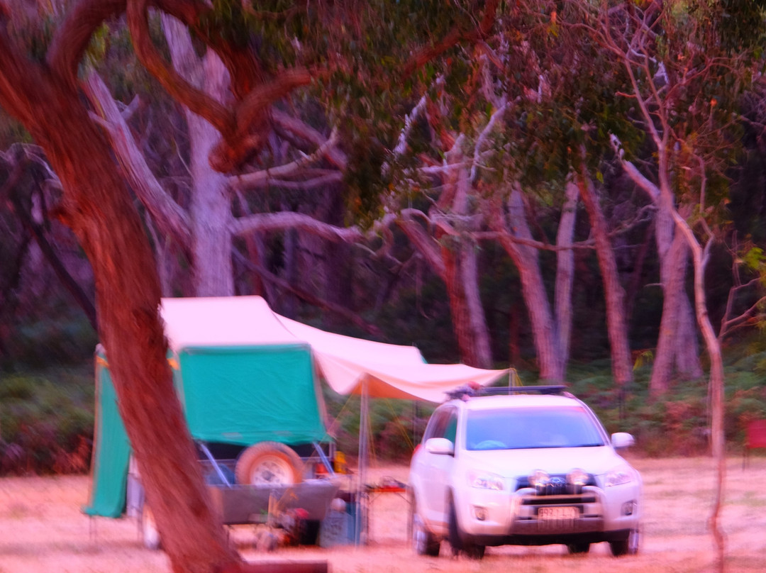 Coonawarra Bush Holiday Park主图