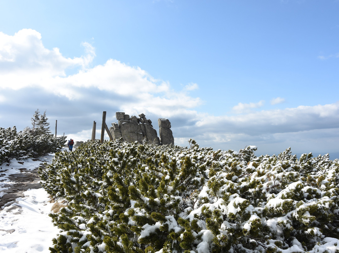 Słonecznik Rock景点图片