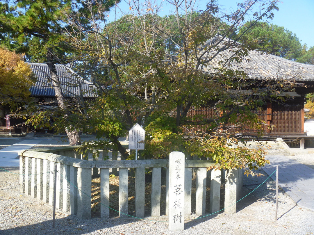 Kakurin-ji Temple-加古川市必去景点