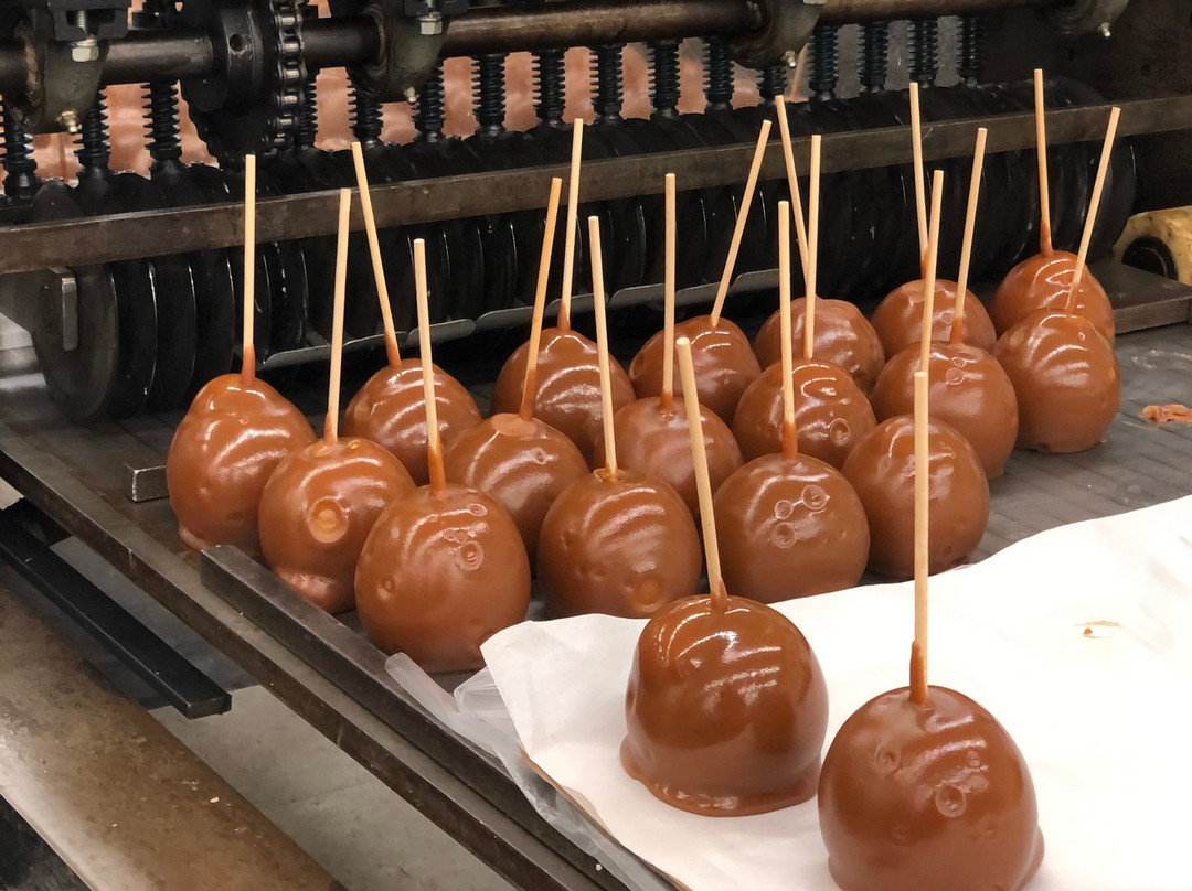 Cerreta Candy Co.-格兰岱尔必去景点