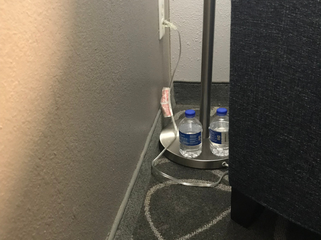 Best Western Limestone Inn & Suites主图