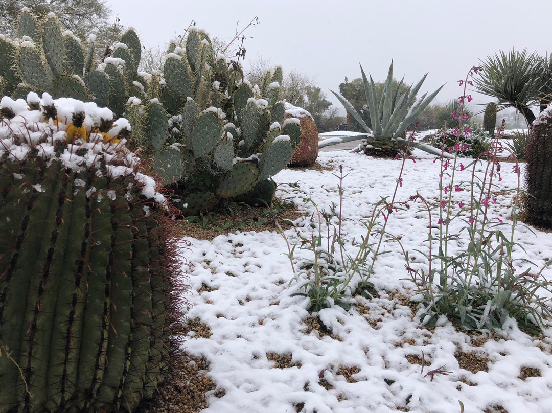 Sonoran Explorin Tours-凯尔福利必去景点