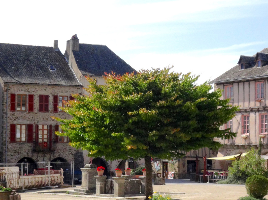 Bastide de sauveterre de rouergue景点图片