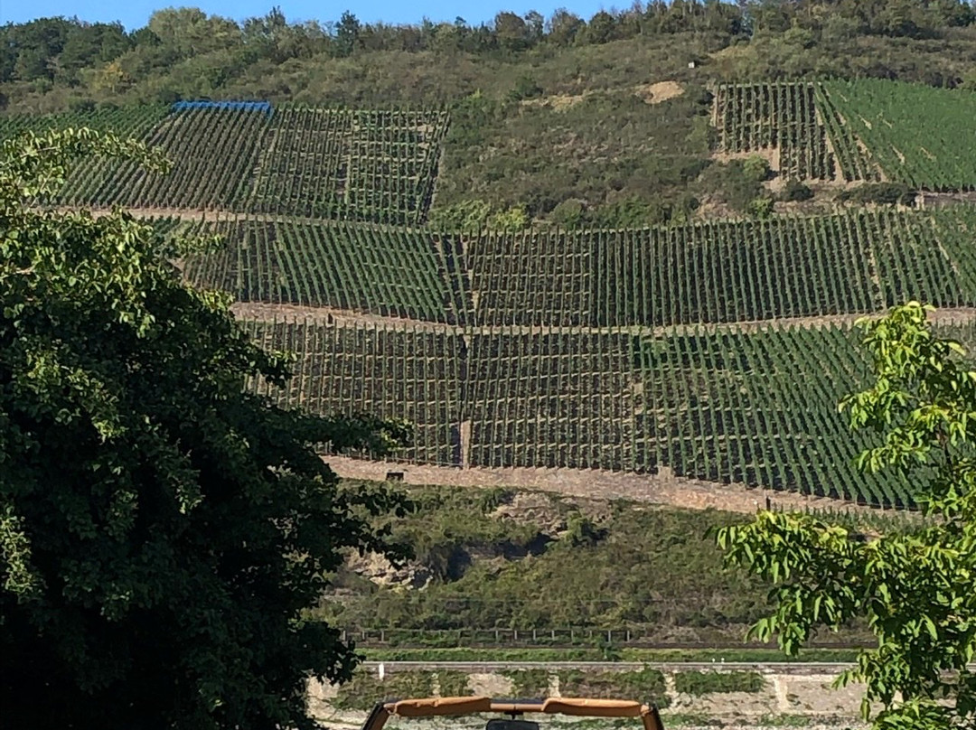 Weingut Didinger-博帕德必去景点