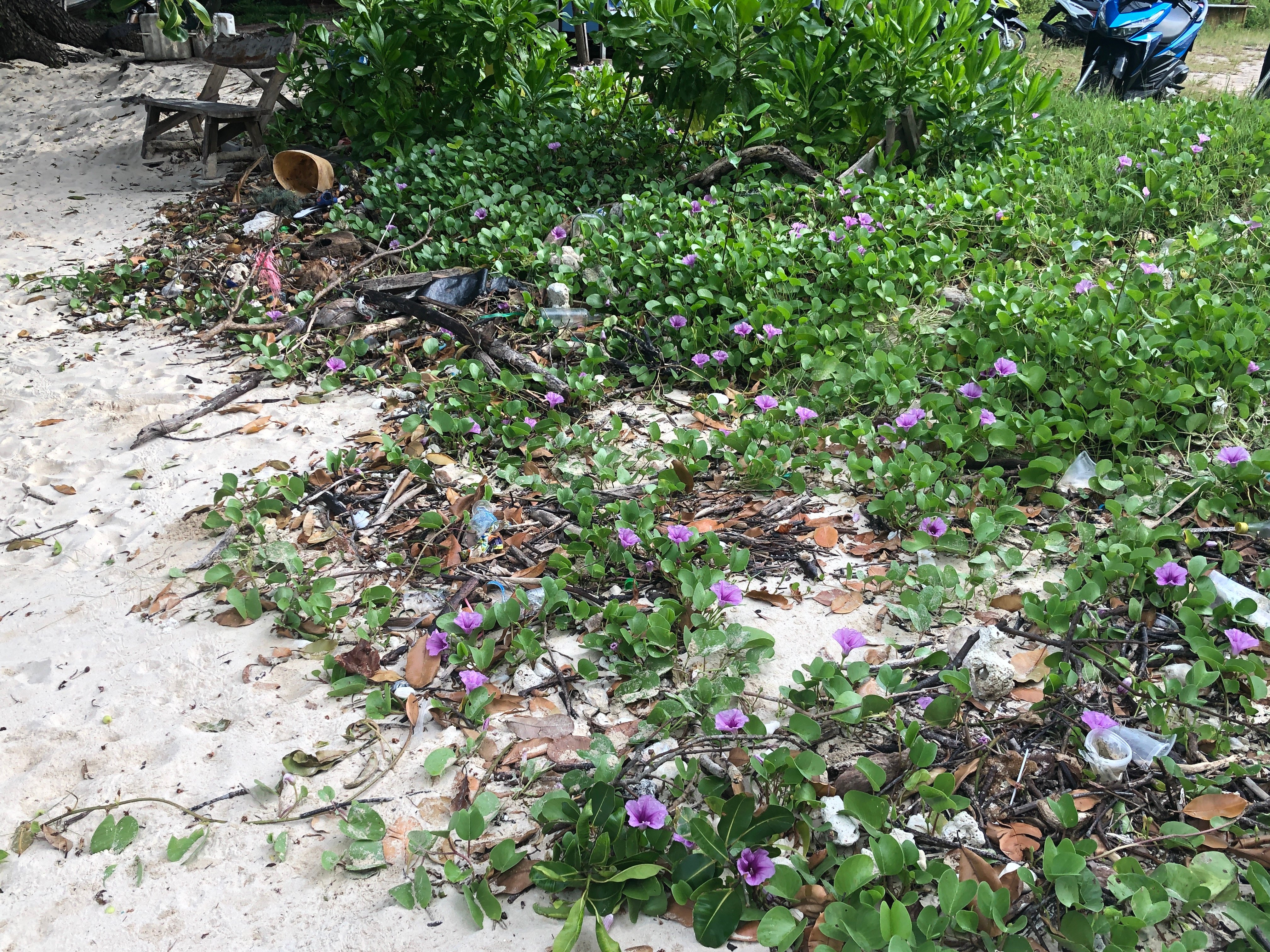 Koh Yao Heaven Beach Resort-泳池