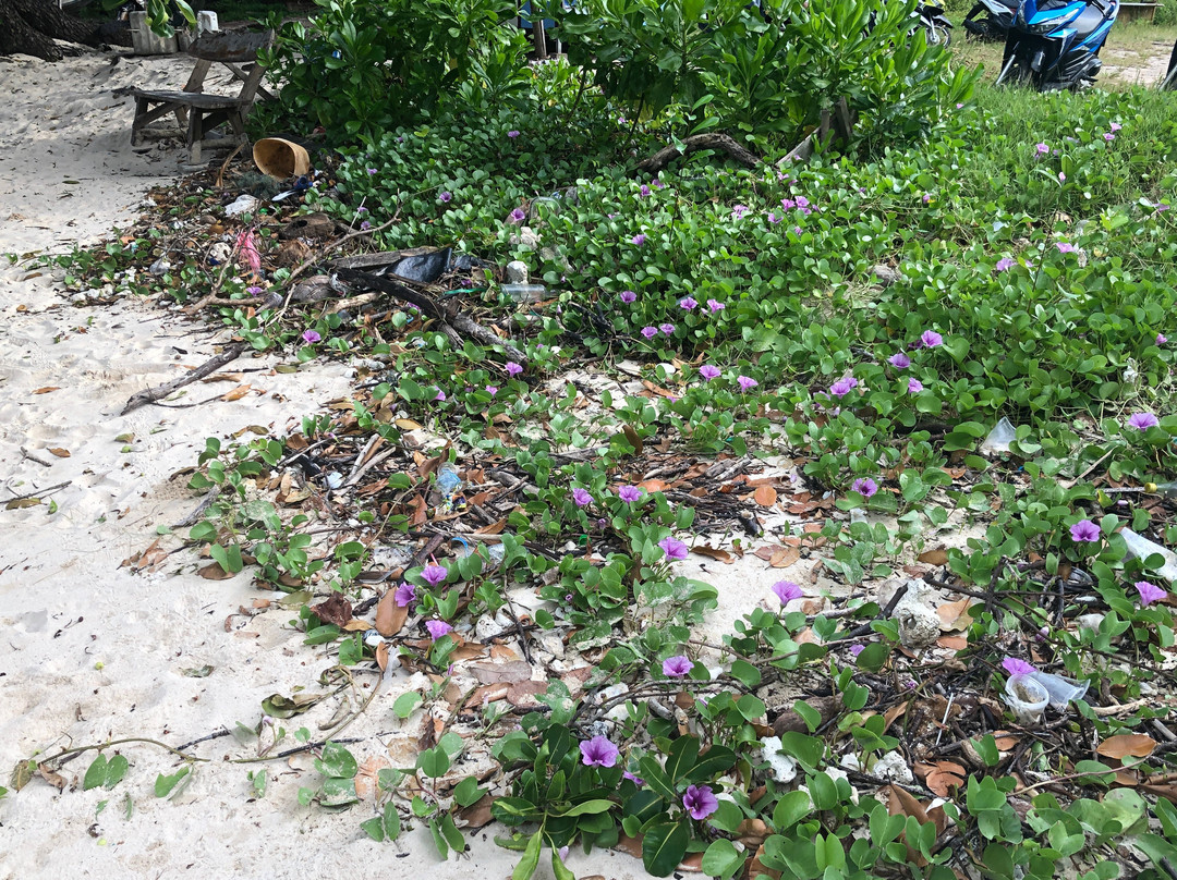 Koh Yao Heaven Beach Resort主图