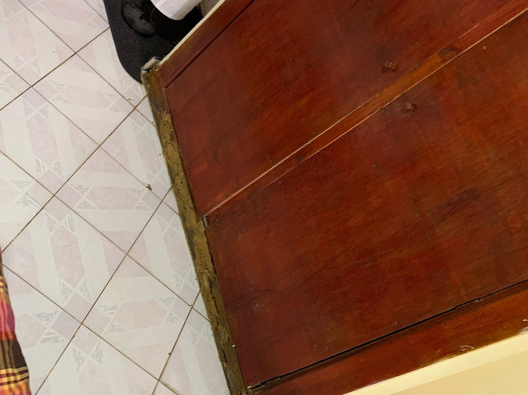 The Greendale Bungalow主图