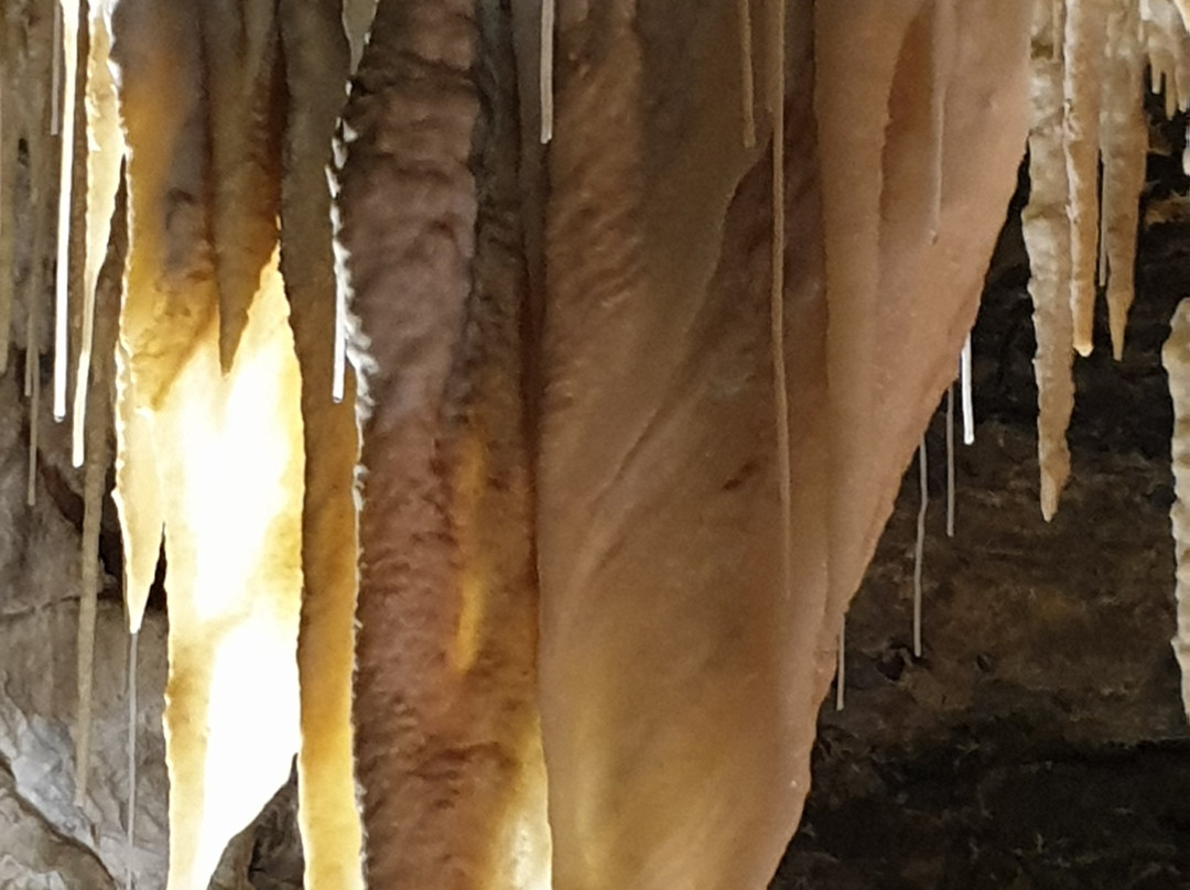 Mole Creek Caves-茉莉溪必去景点