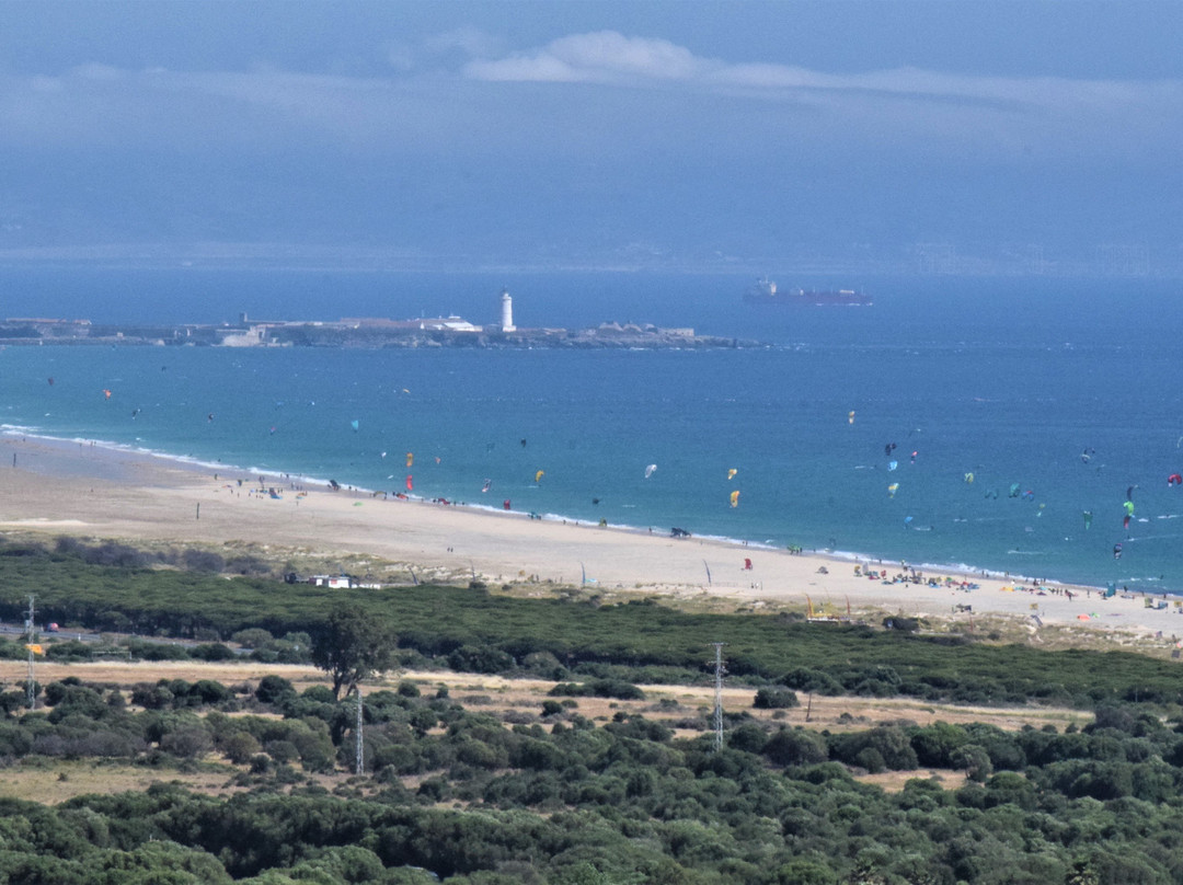 Kite Local School-塔里法必去景点