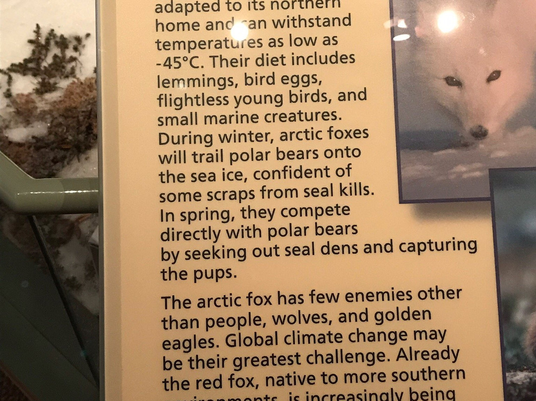 Parks Canada Visitors Centre-丘吉尔必去景点