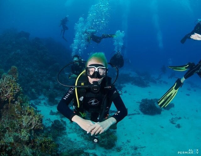 Tropical Divers Dive Center景点图片