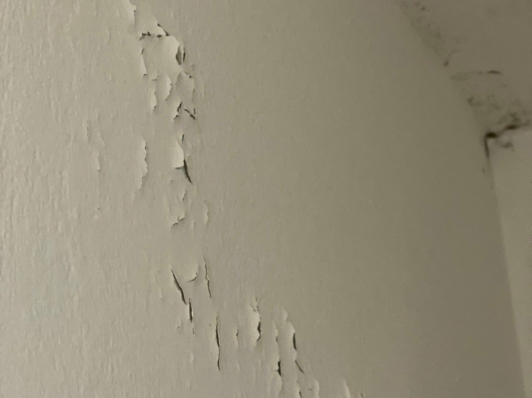 Exarchos Guest House主图