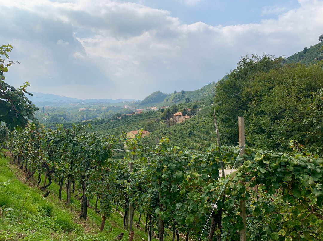 Prosecco Tour Italy by Chiara Wine Tour景点图片