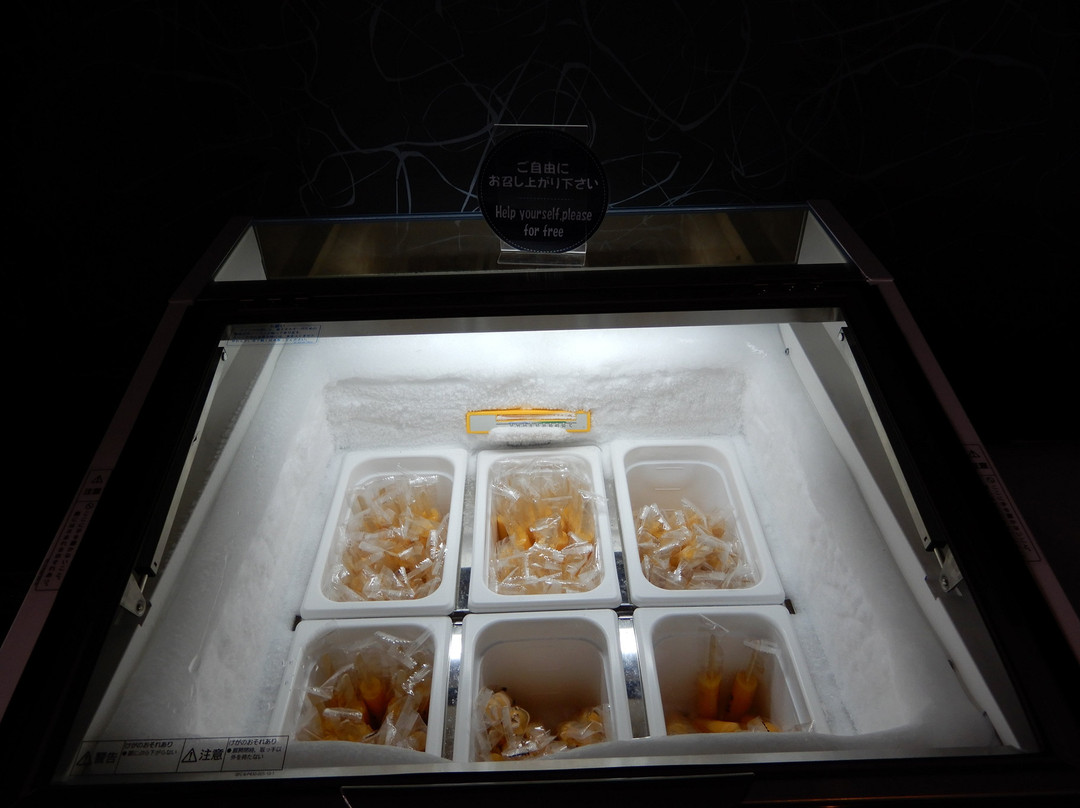 函馆国际酒店主图