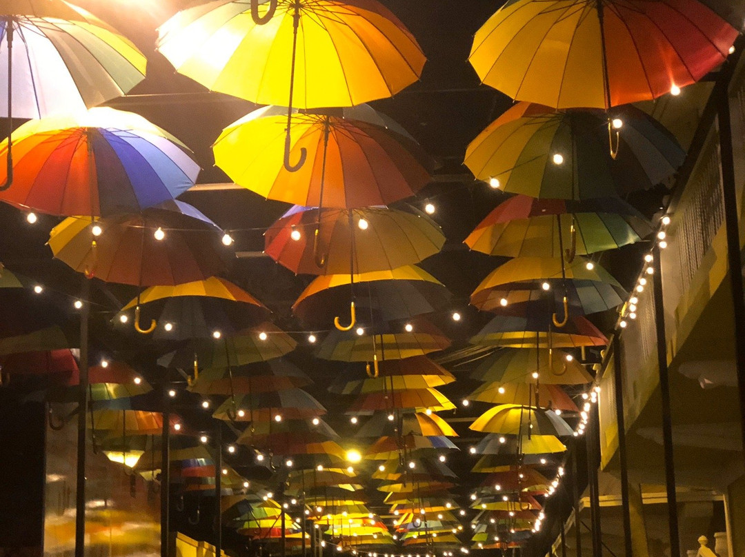 Umbrella Street景点图片