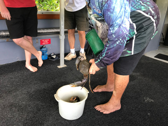 Cairns Catcha Crab-凯恩斯必去景点